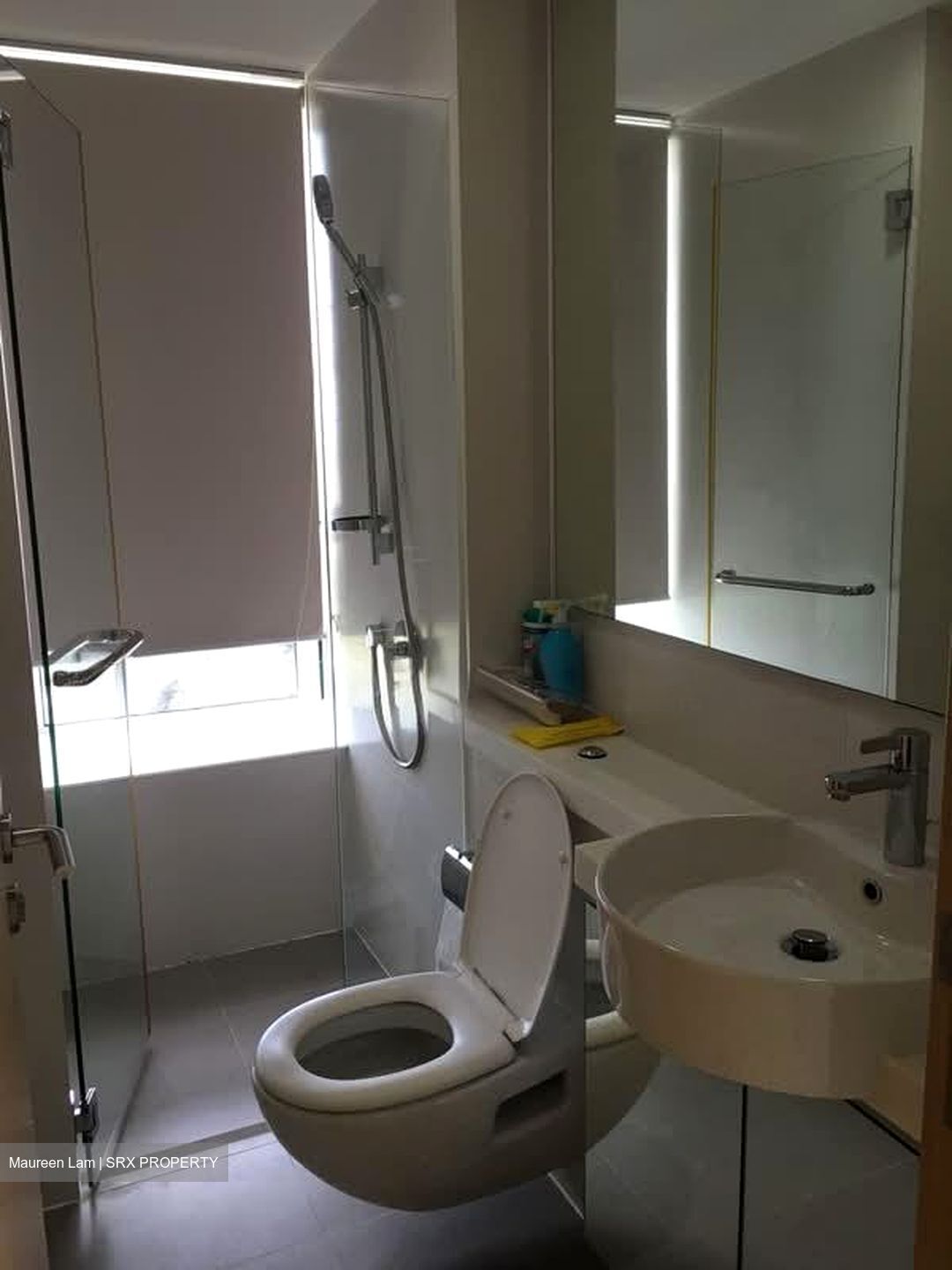 The Regency At Tiong Bahru (D3), Condominium #562118881